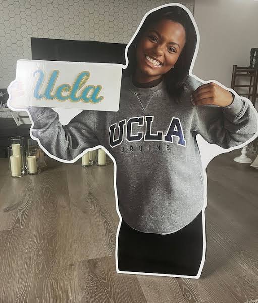Lifesize Cutouts